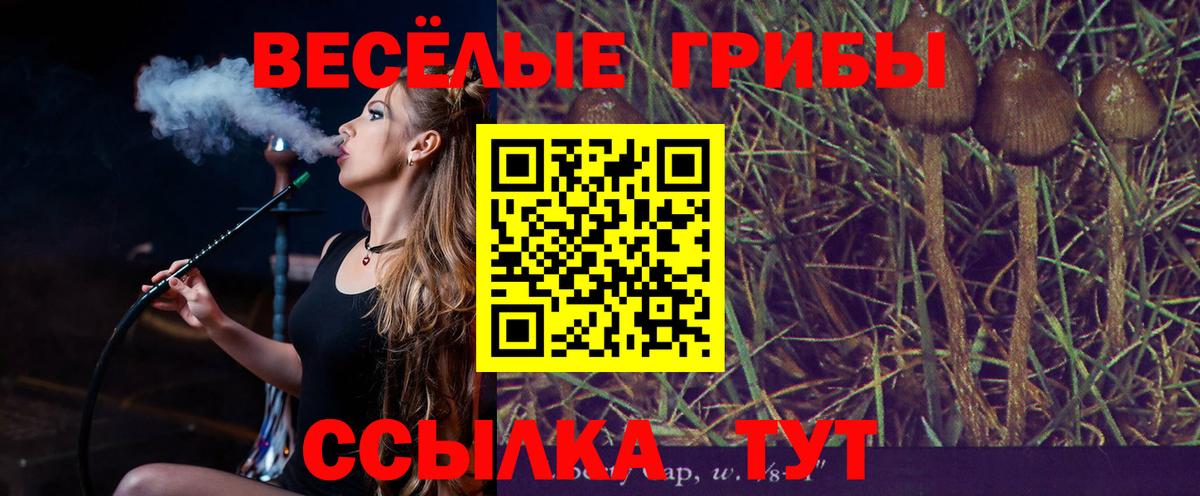 Переславль-Залесский  Псилоцибиновые грибы прущие грибы  Вход с VPN 