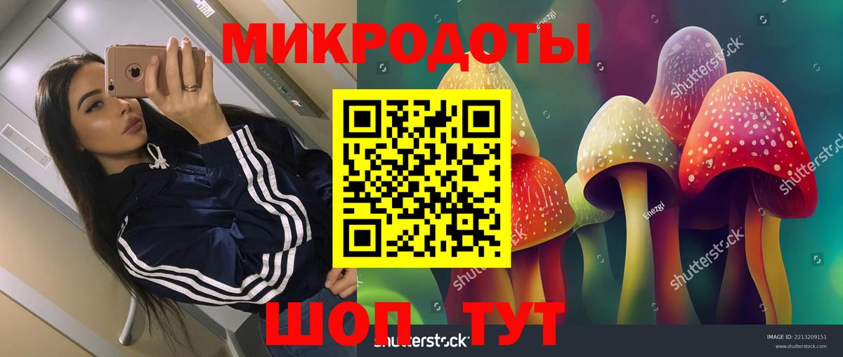 Галлюциногенные грибы MAGIC MUSHROOMS Переславль-Залесский